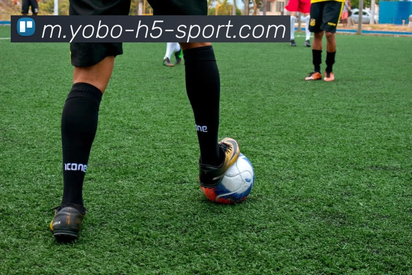 yobo体育服务体系